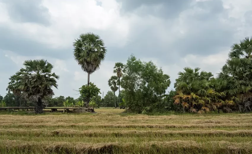 Perbedaan Was dan Were dalam Dalam Bahasa Inggris - Kampung Inggris