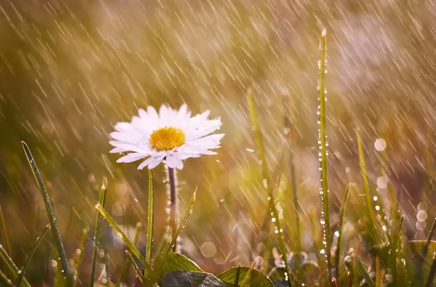 10 Istilah Hujan dalam Bahasa Inggris, Selain “It Is Rain” - Kampung Inggris