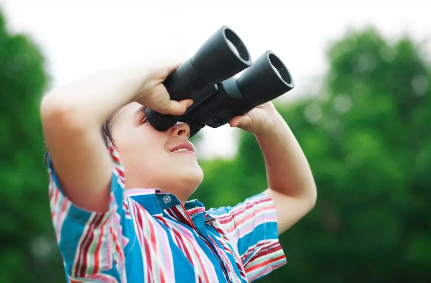 Bedanya See dan Look dalam Bahasa Inggris? - Kampung Inggris