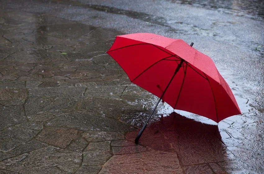 Bahasa Inggris dari Payung