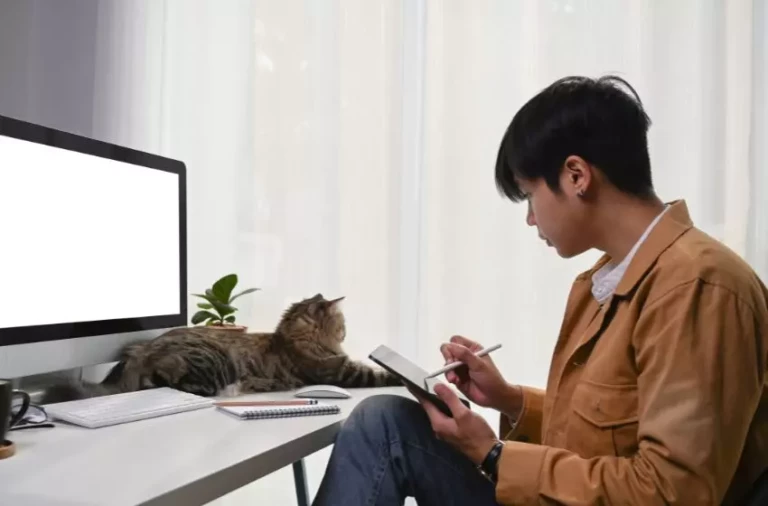 IELTS vs TOEFL vs PTE Mana yang Terbaik untuk LPDP? - Kampung Inggris