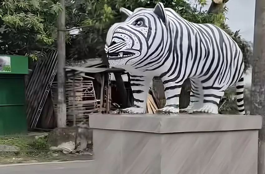Patung Macan Putih Mirip Zebra yang Viral di Kediri - Kampung Inggris