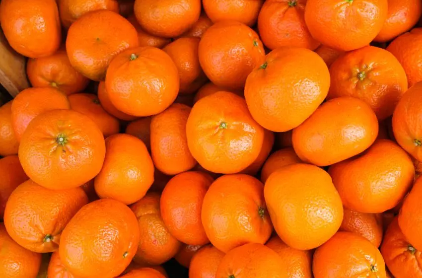 Arti Dari Kata Orange Ga Hanya Warna Oranye Aja, Tapi Artinya Juga Jeruk Lho - Kampung Inggris